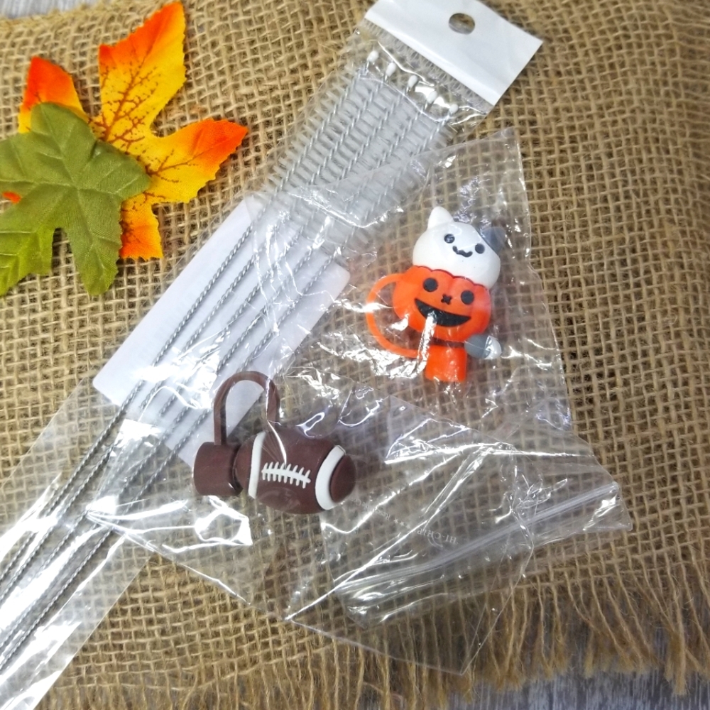 Stanley Water Bottle Straw Covers And Straw Brushes Set